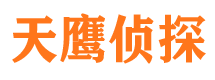 民权侦探公司